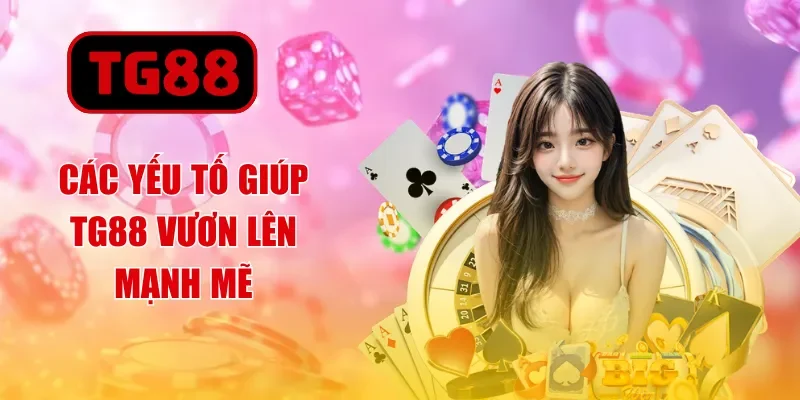 Các yếu tố giúp TG88 vươn lên mạnh mẽ