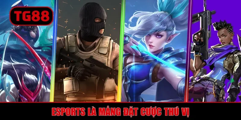 Esports là mảng đặt cược thú vị