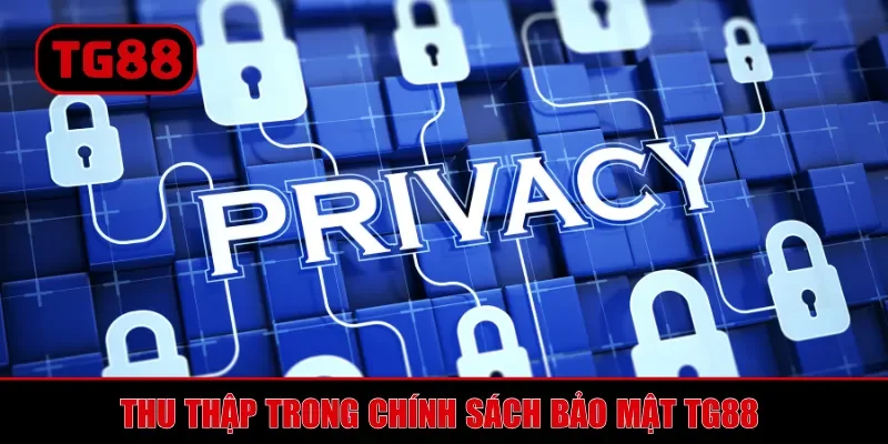 Thu thập trong chính sách bảo mật TG88 