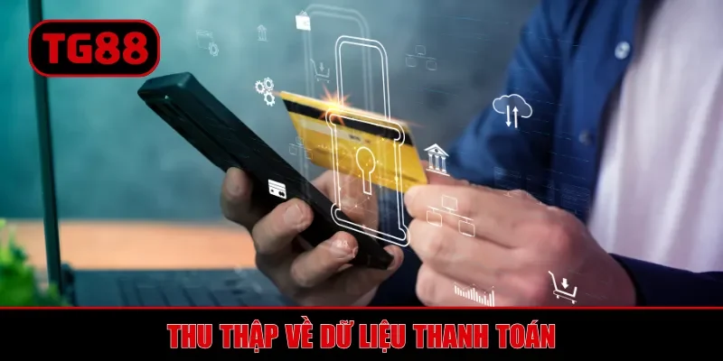 Thu thập về dữ liệu thanh toán