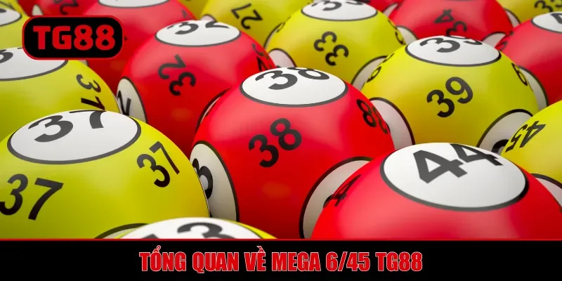 Tổng quan về Mega 6/45 TG88