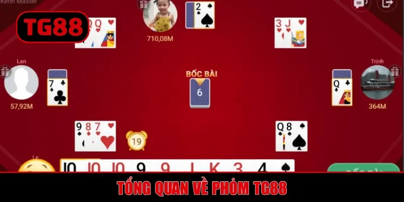 Tổng quan về phỏm TG88